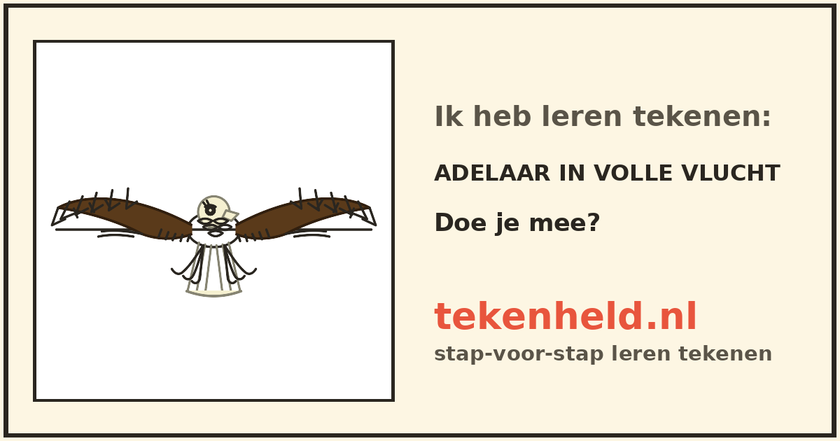 Voorbeeld: Adelaar in volle vlucht tekenen in stappen