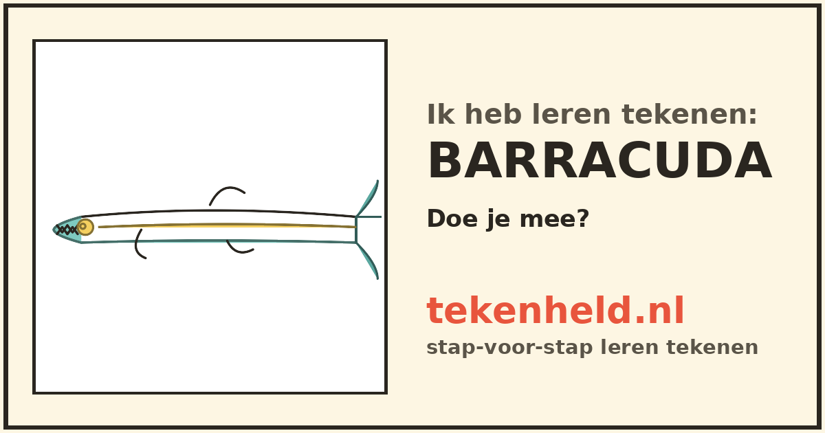 Voorbeeld: Barracuda tekenen in stappen