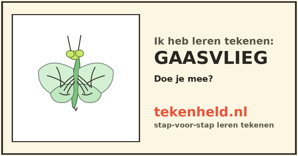 Voorbeeld: Gaasvlieg tekenen in stappen