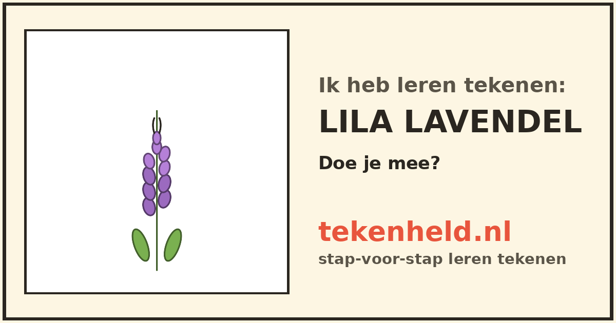 Voorbeeld: Lila lavendel tekenen in stappen
