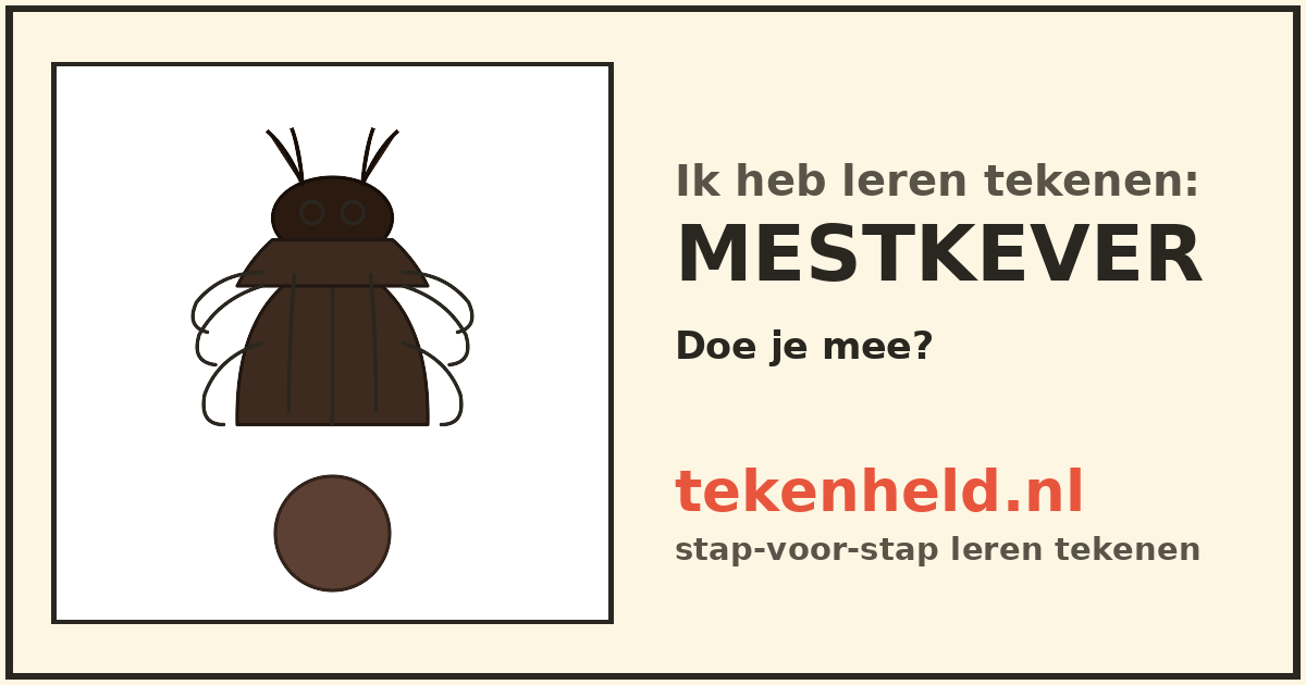 Voorbeeld: Mestkever tekenen in stappen