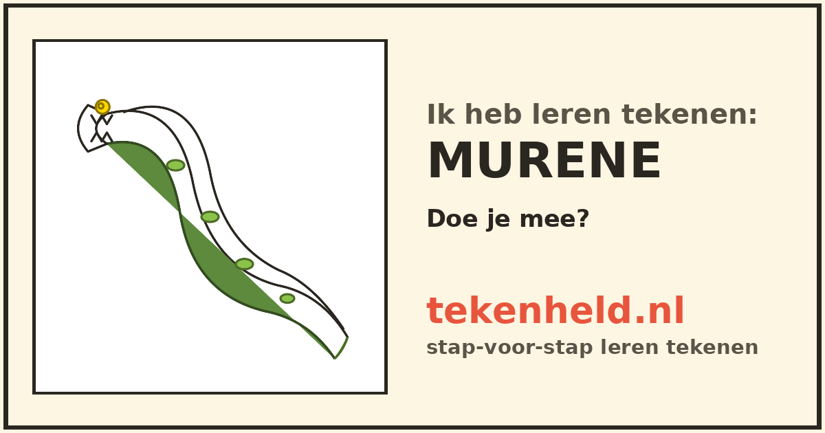 Voorbeeld: Murene tekenen in stappen