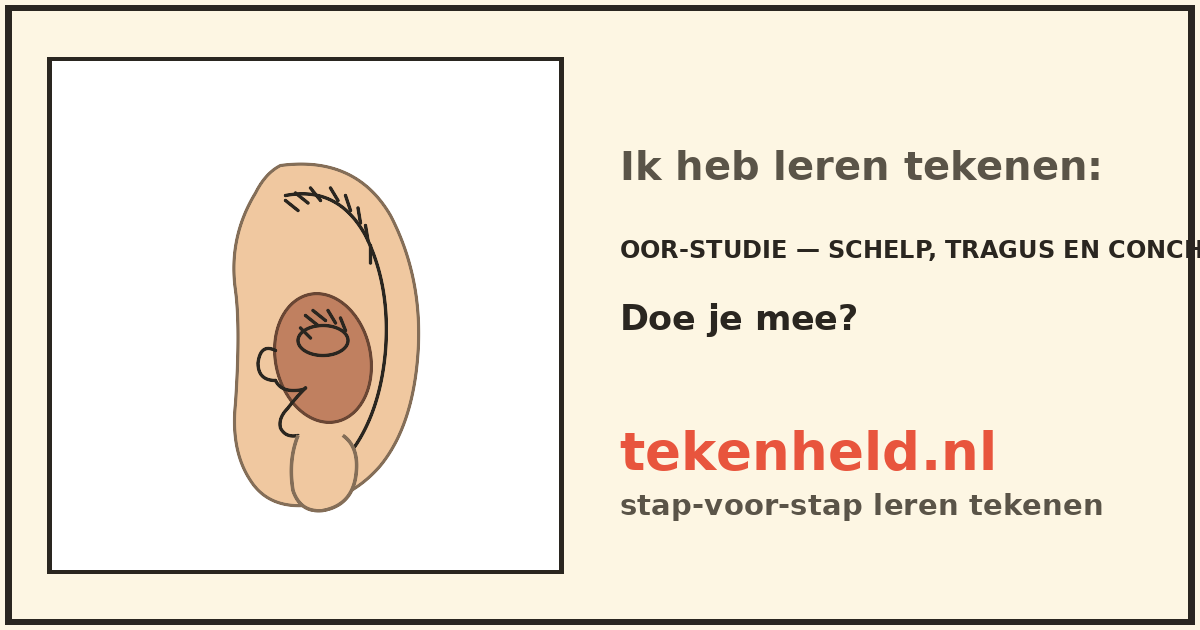 Voorbeeld: Oor-studie — schelp, tragus en concha tekenen in stappen