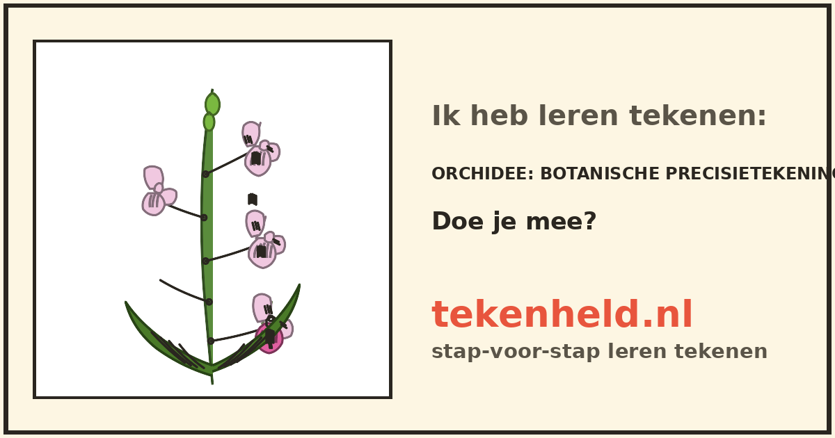 Voorbeeld: Orchidee tekenen in stappen