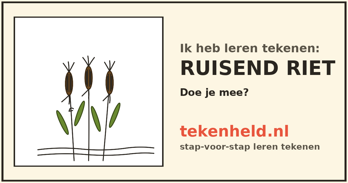Voorbeeld: Ruisend riet tekenen in stappen