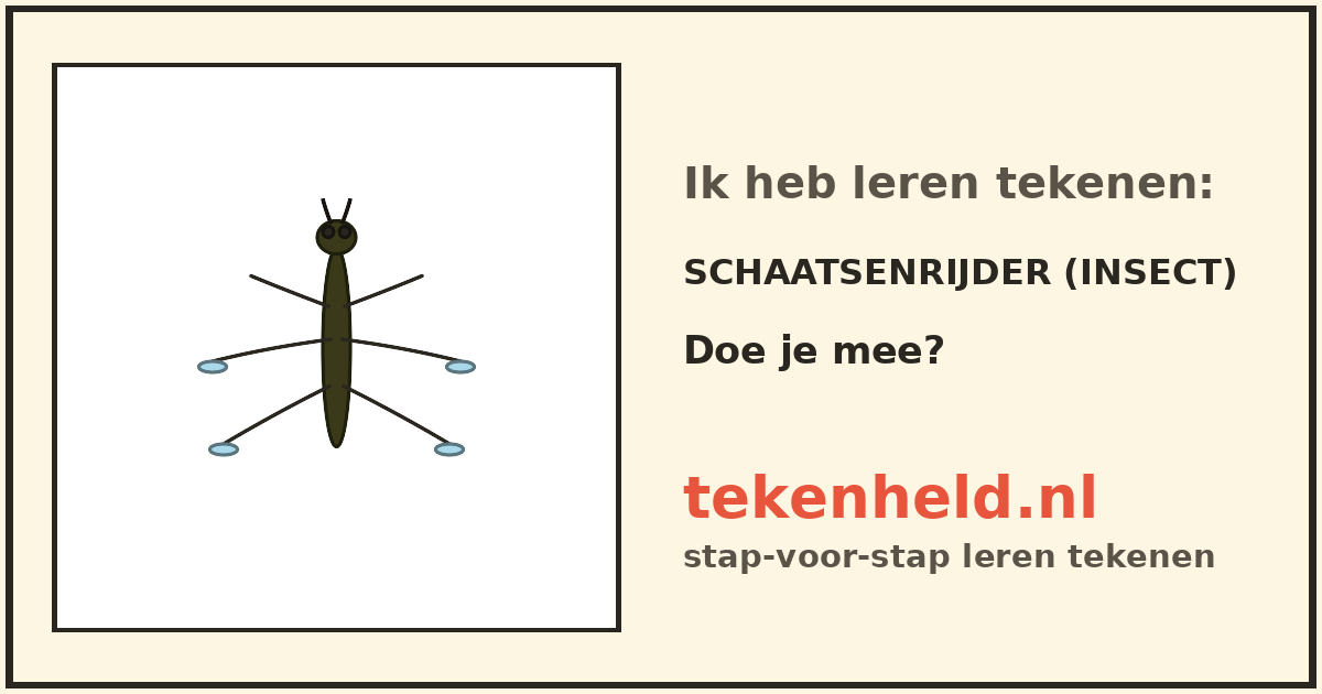 Voorbeeld: Schaatsenrijder (insect) tekenen in stappen