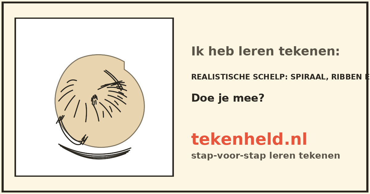 Voorbeeld: Realistische schelp tekenen in stappen