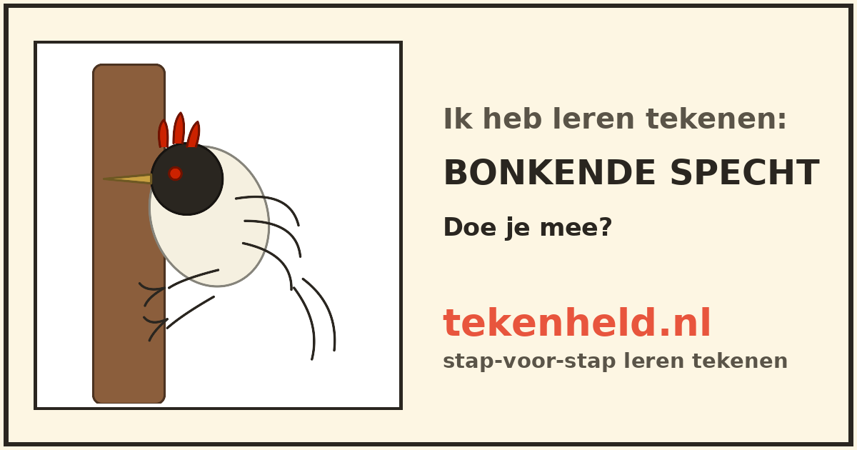 Voorbeeld: Bonkende specht tekenen in stappen