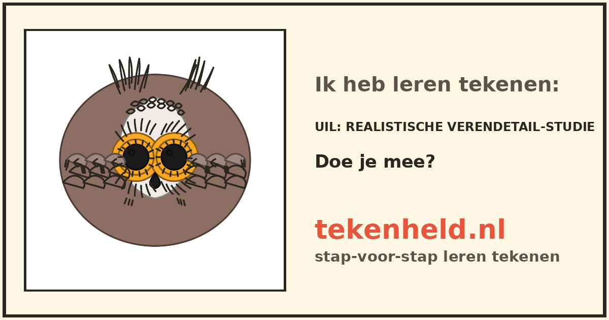 Voorbeeld: Uil tekenen in stappen