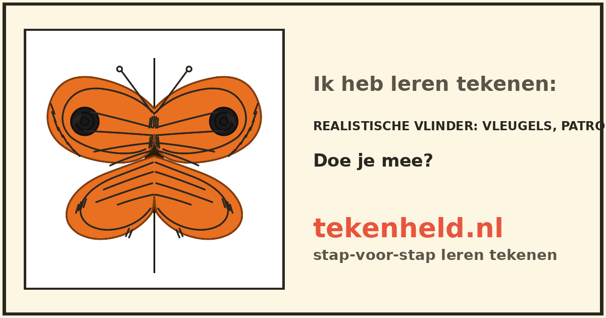 Voorbeeld: Realistische vlinder tekenen in stappen