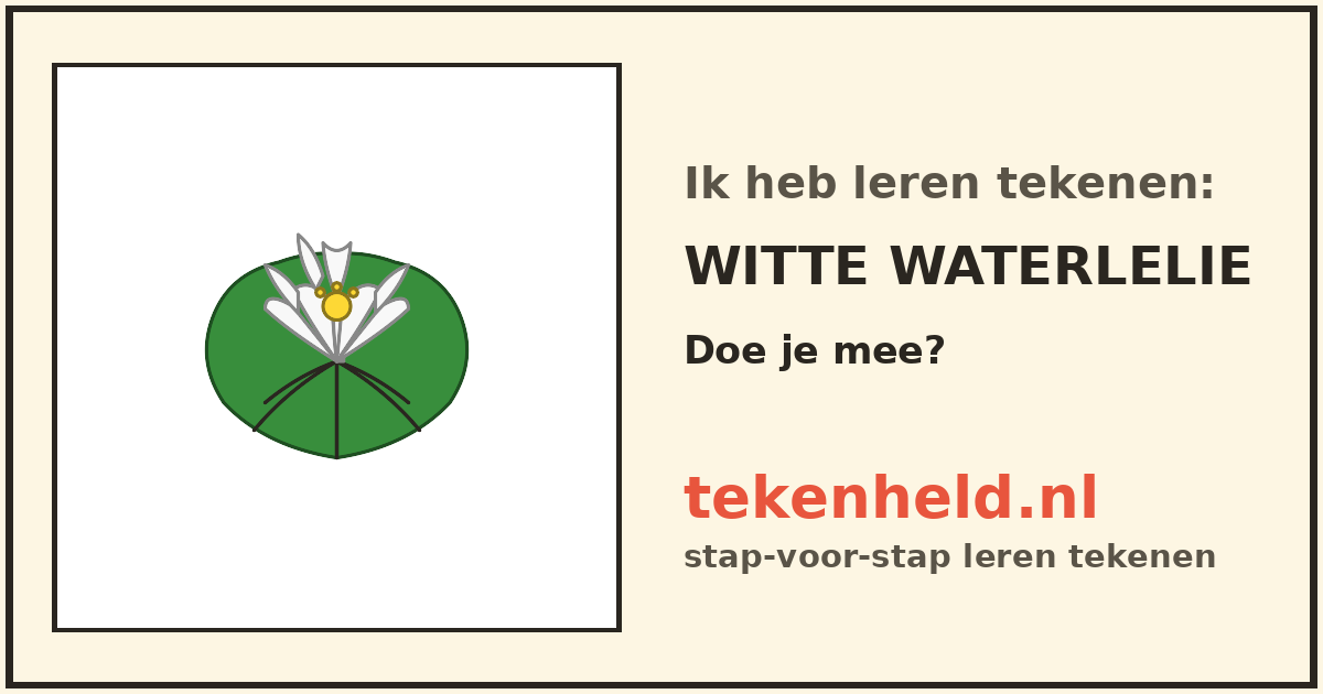 Voorbeeld: Witte waterlelie tekenen in stappen
